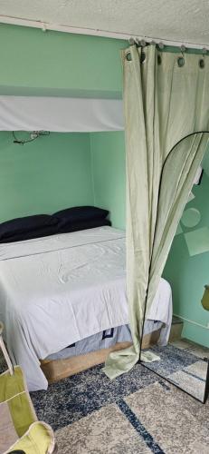 a bed with a canopy in a green bedroom at Bed & Shower Stop in East End