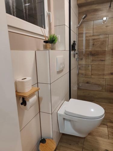 ジークブルクにあるAmaleo Apartments Siegburgの小さなバスルーム(トイレ、シャワー付)