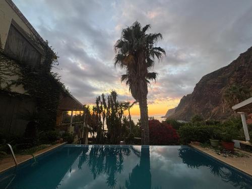 a palm tree sitting next to a house with a swimming pool at Suite Bela Vigia 4 in Jardim do Mar