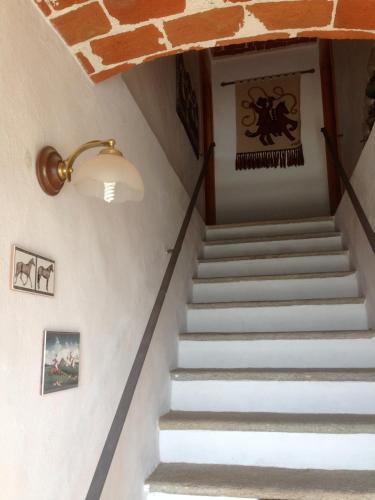Gambar di galeri bagi B&B Cascina Dei Levrieri di Capriglio