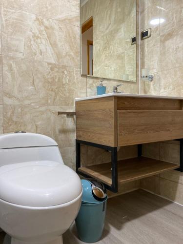 a bathroom with a toilet and a sink and a mirror at Aldea Molco Arrayan in Villarrica