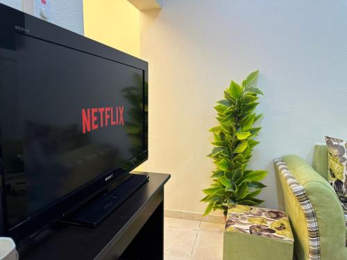 TV de pantalla plana en la sala de estar con una planta en Güzellik Junior Suite جناح قوزيوليك, en Abha