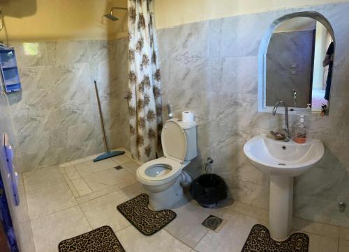 a bathroom with a toilet and a sink at Tunis Camp in Tunis