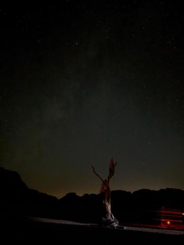 Wadi Rum Desert Heart Camp