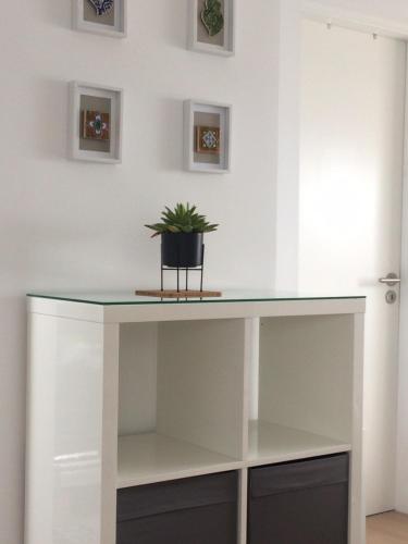 Φωτογραφία από το άλμπουμ του Ático σε Viana do Castelo