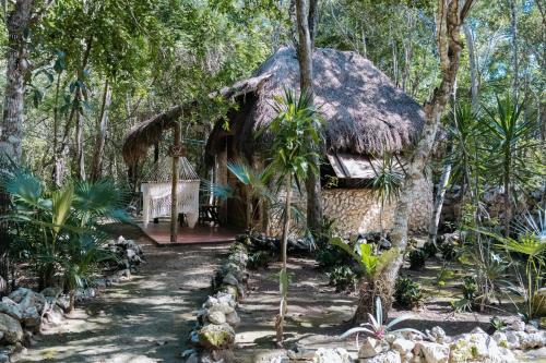 a hut in the middle of a forest at Cavelands become one with nature in Cedro
