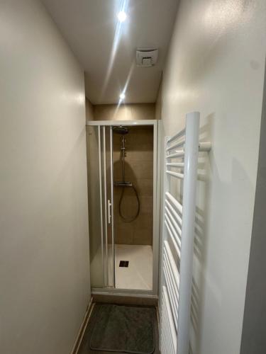a walk in shower with a glass door in a bathroom at Magnifique appartement neuf Bellecour in Lyon