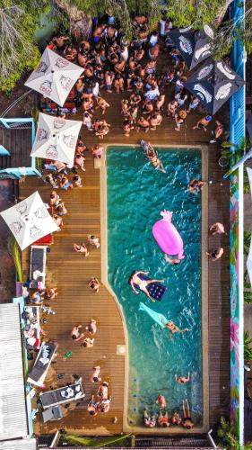 a large group of people swimming in a pool at Port Douglas Backpackers Youth Hostel in Port Douglas