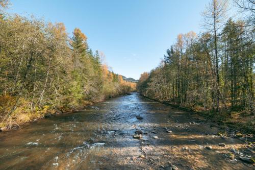 un río en medio de un bosque en Stay Portland - Relaxing River Retreat, en Rhododendron
