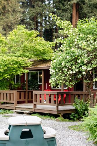 a small house with a tree with white flowers at Fern River Resort in Felton