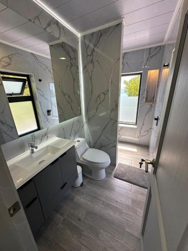 a bathroom with a sink and a toilet at Monolito, Pucón - Vista la lago y spa in El Cerrillo