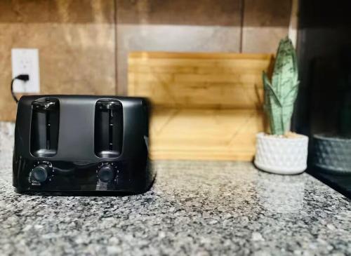 een zwarte broodrooster op een aanrecht naast een plant bij Peaceful- King Beds- Attached Garage - Pet Friendly in Edmonton