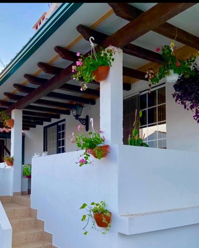 a white house with potted plants on the wall at Casa de Azzancha in Azinhaga