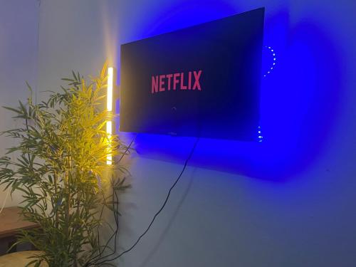 a blue sign that reads netflix next to a plant at Appartement Dream in Fort-de-France
