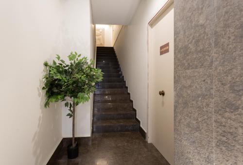 GG Hostel photo 47