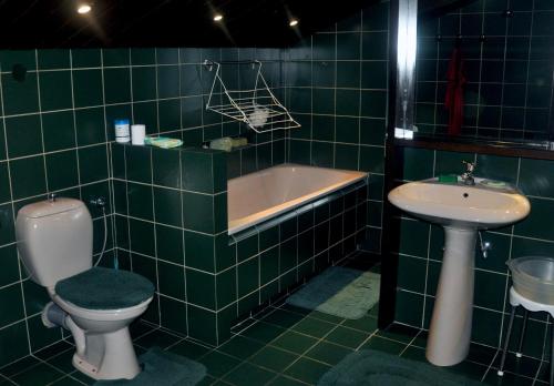 Baño de azulejos verdes con aseo y lavamanos en Pokoje Gościnne pod Sikornikiem en Cracovia