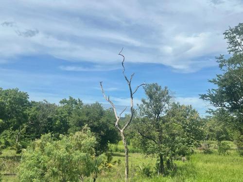 Φυσικό τοπίο κοντά σε αυτή η βίλα