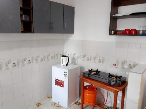 Kuchyň nebo kuchyňský kout v ubytování Pent House