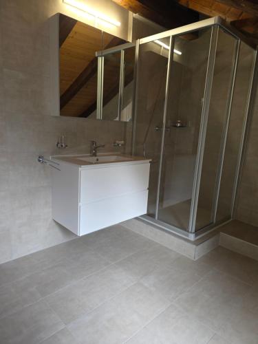 a bathroom with a sink and a shower at Petit studio centre ville in Montreux