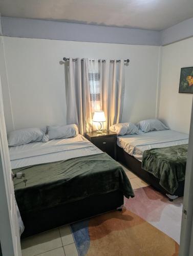 a bedroom with two beds and a lamp and a window at Jacqueline's Court in Mount Pleasant