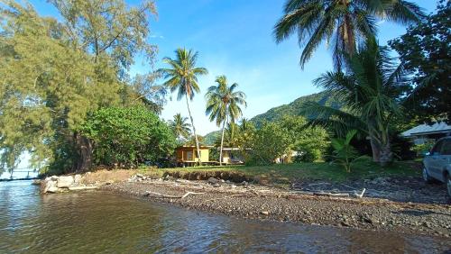 a house on the shore of a river with palm trees at Moana at Teahupo'o in Teahupoo