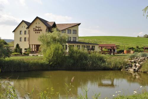 Gallery image of Pensiunea Violeta in Saschiz