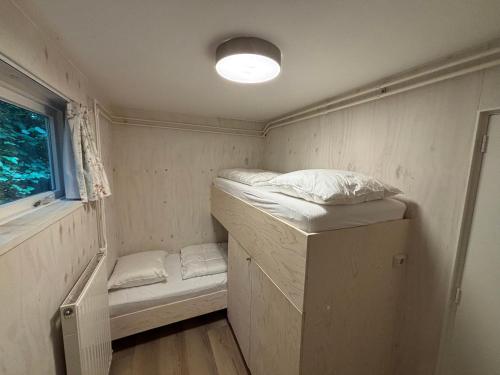 SchoonlooにあるBungalow de Kievitの二段ベッド1組、窓が備わる小さな客室です。