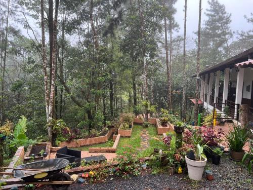 Afbeelding uit fotogalerij van La Casa del rio in Los Altos de Cerro Azul