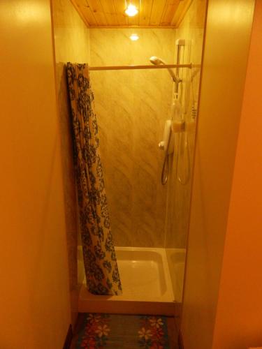 a shower in a bathroom with a shower curtain at Doolin House in Doolin