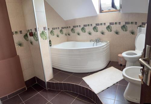 een badkamer met een groot bad en een toilet bij Casa Alecu 