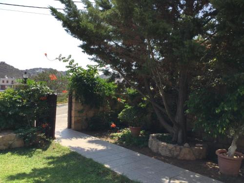 a tree in a garden next to a sidewalk at Studios Irene in Skala