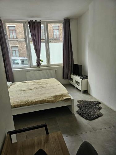 a small bedroom with a bed and a window at Le caillou Blanc in Charleroi