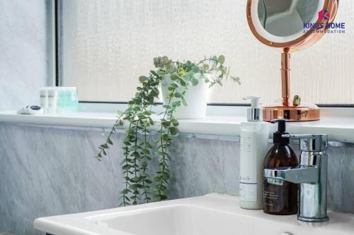 ein Waschbecken mit Spiegel und Pflanze in der Unterkunft 3BR 6 Beds Garden Parking x3 Kings Cross 25 mins & Harry Potter Studios in Borehamwood