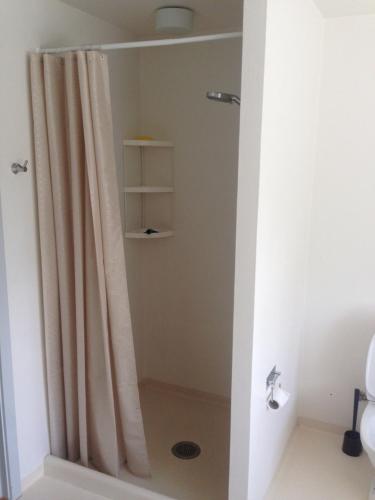a shower with a shower curtain in a bathroom at Rane Ladegaard in Ebeltoft