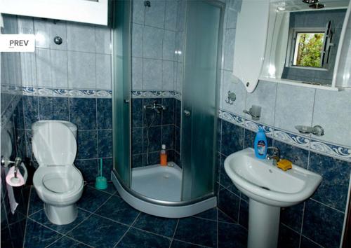 Een badkamer bij Apartments Gojkovic
