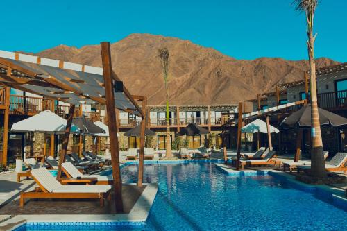 ein Hotel mit einem Pool mit Stühlen und Sonnenschirmen in der Unterkunft Crazy Horse Camp in Nuweiba