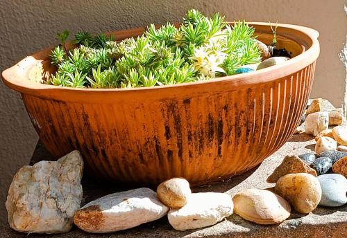 a wooden planter with rocks and plants in it at Creative 2 Level Townhouse Near City and Wine Route in Brackenfell