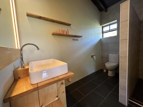 a bathroom with a sink and a toilet at Woodstock Palmresort Curacao - Iguana Kamer in Santa Catharina