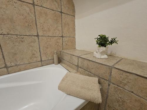 un bagno con una vasca da bagno con una pianta in un vaso di Obrovský byt na Velkém náměstí, WiFi zdarma a Hradec Králové