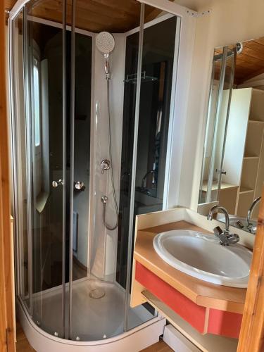 un bagno con doccia e lavandino di Lagrange Grand Bleu Vacances – Résidence Les Pescalunes ad Agde