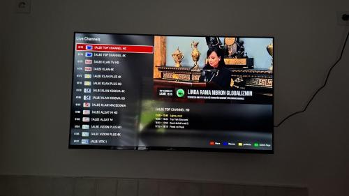 a flat screen tv hanging on a wall at Apartment Fabiola Hamberg strasse 34 in Siegen in Niederdorla