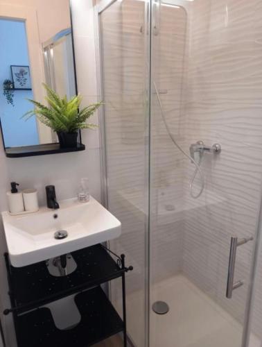 Palm park & Green studio apartment