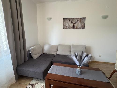 a living room with a couch and a table at Pine forest apartments in Pamporovo