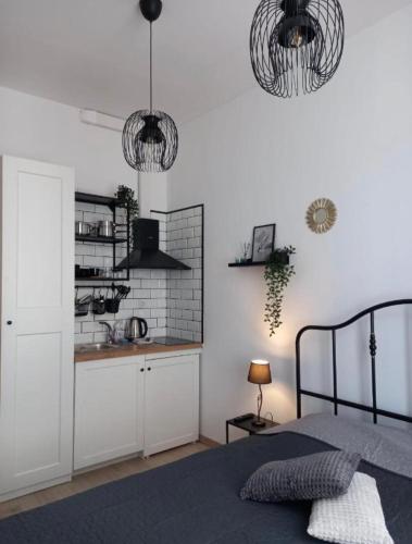 Palm park & Green studio apartment