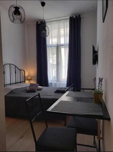 Palm park & Green studio apartment