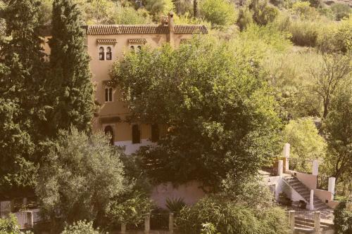 a house on a hill with trees in front of it at Dar Rass El Maa in Chefchaouene