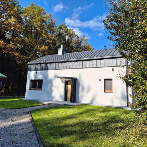 Dom pod lasem