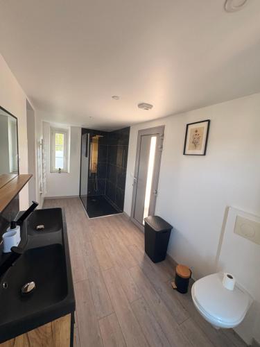 a bathroom with a black sink and a toilet at Le nid D Angel in Criel-sur-Mer