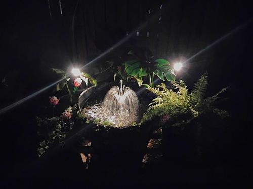 Billede fra billedgalleriet på Bunya Cottage at On Burgum Pond i Maleny