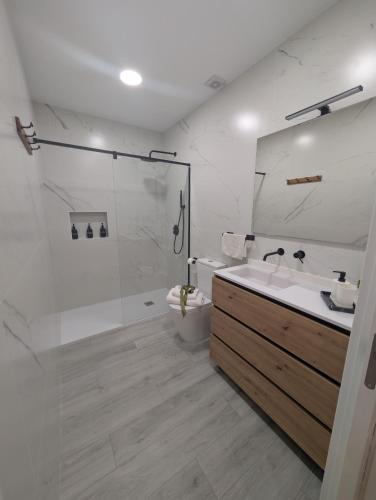 a bathroom with a shower and a sink and a toilet at Apartamento Turistico NC in Cáceres